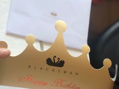 -BLACKSWAN黑天鹅(环球店)