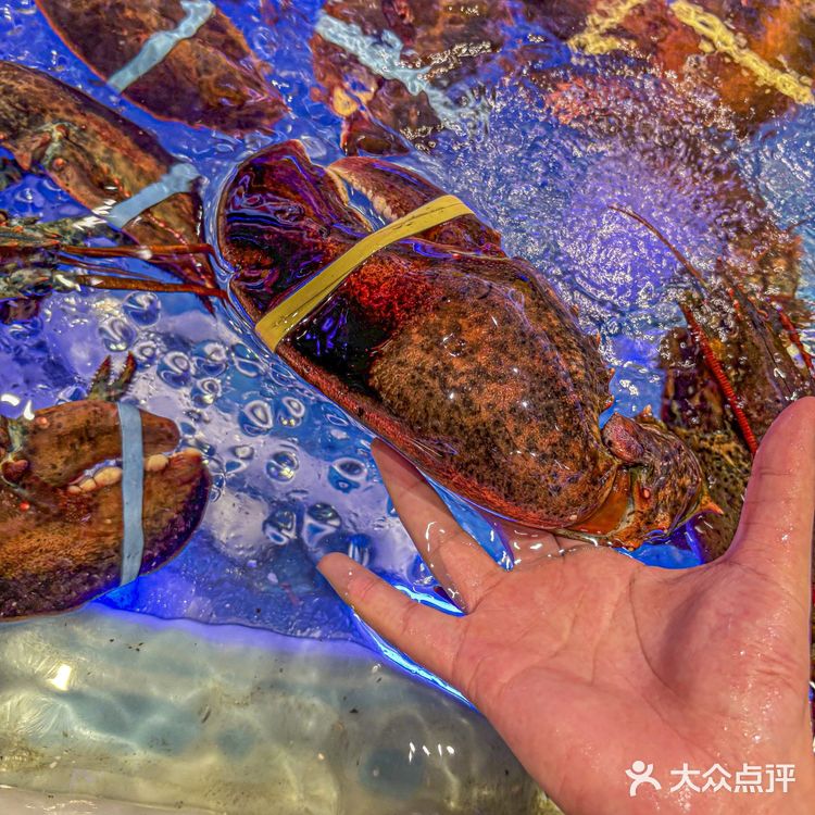 和录取通知书一起到来的暑假