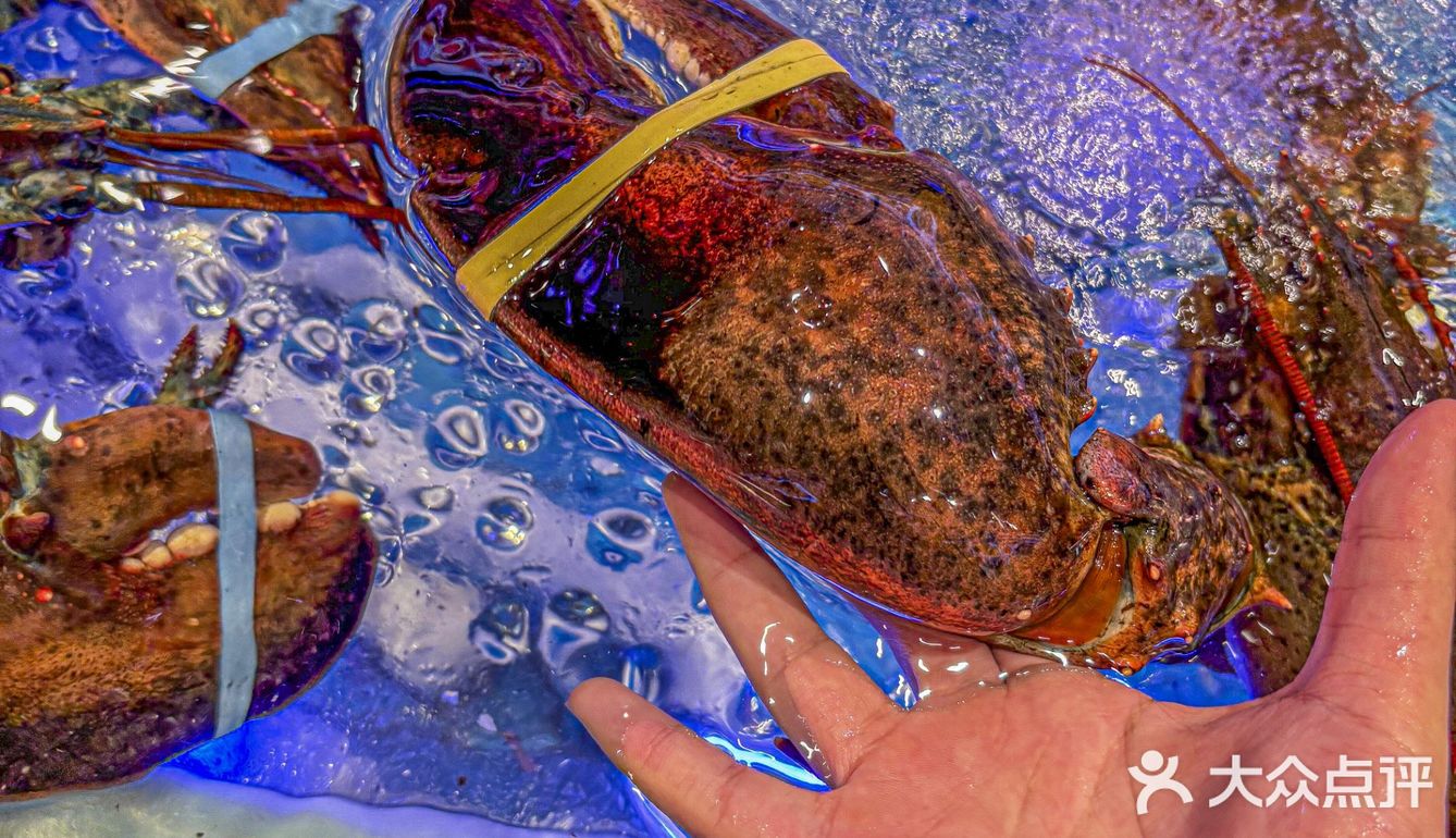 和录取通知书一起到来的暑假