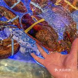 和录取通知书一起到来的暑假