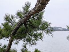 -天目湖山水园