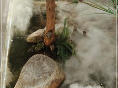 -万达广场(无锡滨湖店)