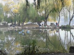 -紫竹院公园冰场