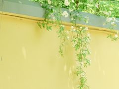 -颐和路民国时期公馆风貌区