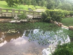 -深圳仙湖植物园-停车场