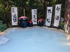 -天目湖涵田度假村