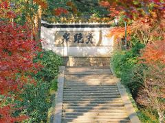 -虎跑公园