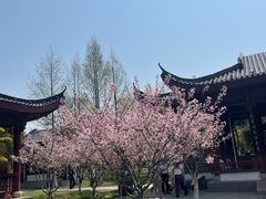 -堤角公园