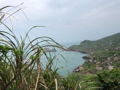 -枸杞岛