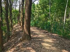 -灵岩山风景区