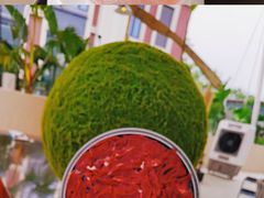 -悦见花开·花园里的火锅·露营·下午茶