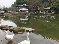 -团城山公园