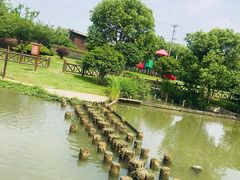 -灶头屋里