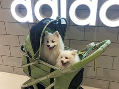 -丽达购物中心(崂山店)
