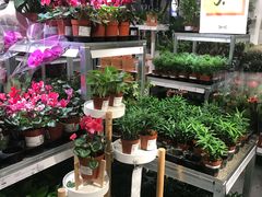 -宜家家居(哈尔滨商场店)