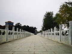 -青龙湖公园