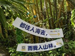 -呀诺达热带雨林