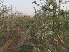 -亲兄弟真人CS团建拓展基地