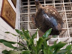 -镜泊湖酒家(兴华街金鼎店)