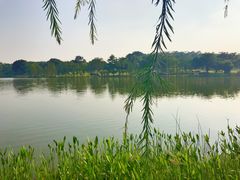 -东莞植物园