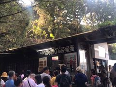 -金盆阿嬷香菇茶叶蛋(玄光店)
