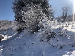 -太子岭滑雪场