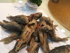 -金成潮菜博物馆(海珠湿地店)