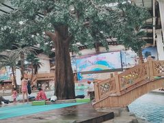 -南宫温泉水世界