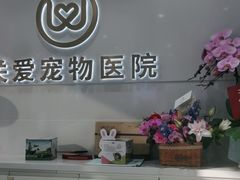 -关爱宠物医院·猫科中心·消化科(滨湖万达分院)