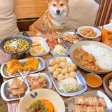 省了去🇯🇵的机票在东郊记忆也能吃到正宗烧鸟