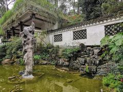 -南山植物园