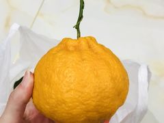 -鲜丰水果(九洲新世界花苑店)