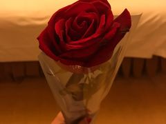 -维也纳国际酒店(深圳新洲店)