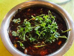 -胖大姐黄辣丁鱼庄(新津店)