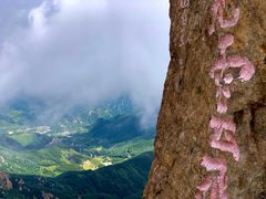 -白草畔自然风景区