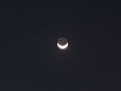 -万和春排骨砂锅米饭(新业广场店)