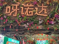 -呀诺达热带雨林