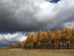 -塞罕坝国家级自然保护区