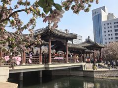 -元大都城垣遗址公园