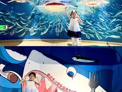 -烟台海昌鲸鲨海洋公园