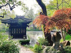 -盆景园(扬州大运河文化旅游度假区)
