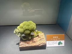 -大连自然博物馆
