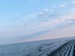 -碧海金沙