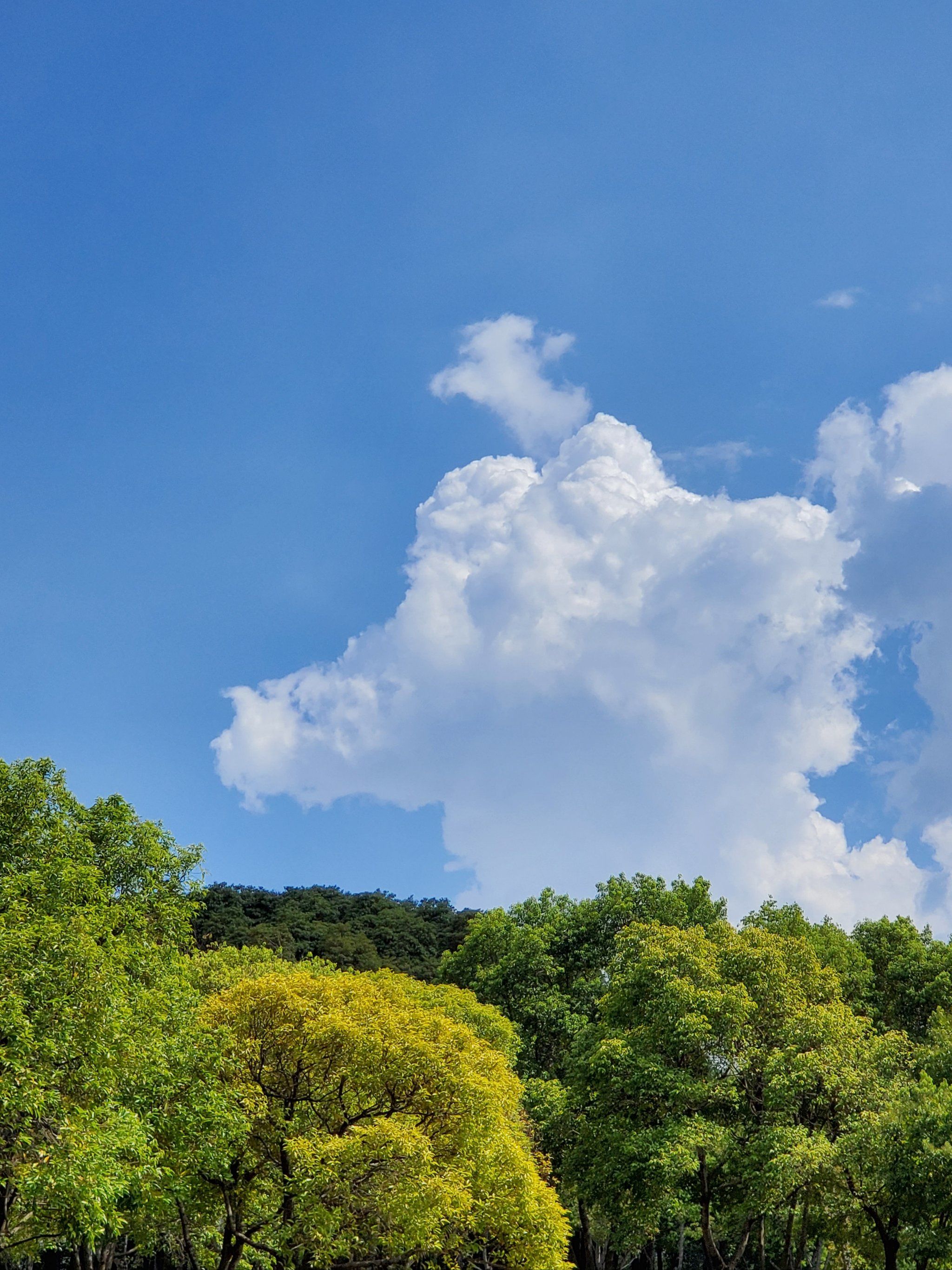 云朵,在天空作画,提醒我想象的美好