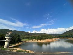 -东莞市大岭山森林公园