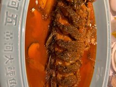 -阿五黄河大鲤鱼(纬三路店)