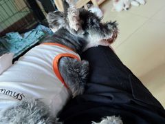 -趣玩宠物乐园寄养训犬训狗游泳池
