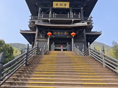 -大唐贡茶院