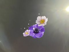 -宝安体育馆游泳馆