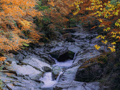 -光雾山旅游景区